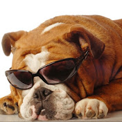 Profile Picture of Chris Fordham (@chrisfordham3943) on Youtube