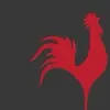 Profile Picture of Revel & Roost (@mark.revel.roost) on Tiktok
