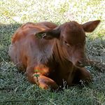 Profile Picture of David Mummert (@davidmummert) on Instagram