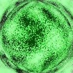 Profile Picture of Yvonne Paul (@yvonne_paul9t) on Instagram