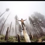 Profile Picture of Shawn Pearson (@shawncanada) on Instagram