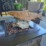 Profile Picture of Mark Nichol (@mark.nichol.386479) on Facebook