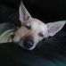 Profile Picture of Kerri Mcdermott (@kerri.mcdermott.16) on Facebook