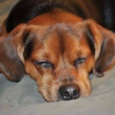 Profile Picture of Lynda Phan (@PhanGMU) on Twitter