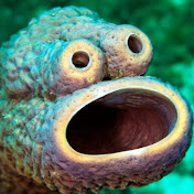 Profile Picture of Douglas Sinclair (@douglassinclair5956) on Youtube