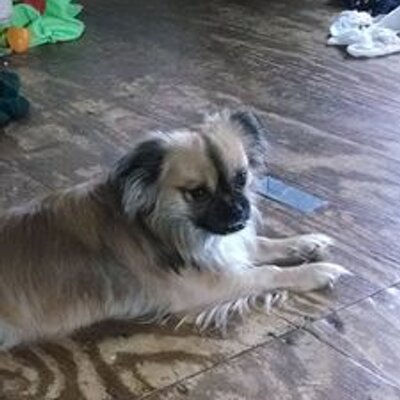 Profile Picture of Ruby Rangel (@rubyluna781) on Twitter