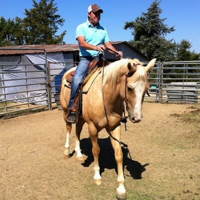 Profile Picture of David (@777Imboden) on Twitter