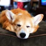 Profile Picture of Kim Usher (@kusher09) on Instagram