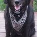 Profile Picture of Cheryl Eisenhauer Engh (@cheryl_engh) on Pinterest