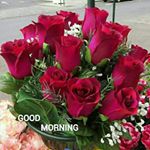 Profile Picture of Anita Yadav (@ajeet.mannuyadav) on Instagram