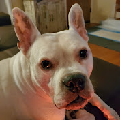 Profile Picture of Maryanne Dobrilla (@maryannedobrilla2097) on Youtube