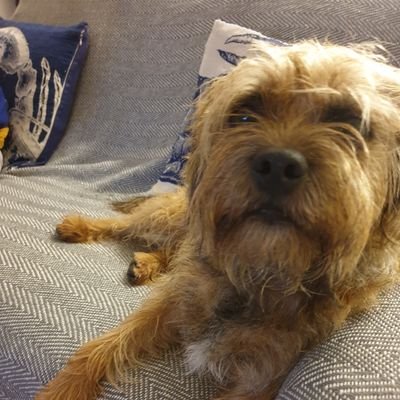 Profile Picture of Sam Little (@SamLitt30564671) on Twitter