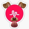 Profile Picture of Cassi Wright (@@xxlorcasxx) on Tiktok