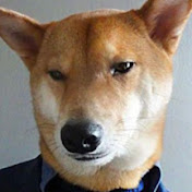 Profile Picture of Spencer Quinn (@TheChickenMiner88) on Youtube