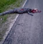 Profile Picture of Kenneth Carter (@kenneth.carter.465813) on Facebook