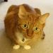 Profile Picture of Seans Kealey (@seansk) on Pinterest