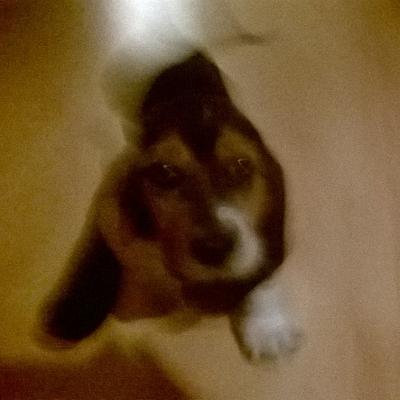 Profile Picture of Thomas Dupree (@jeromeboy923) on Twitter