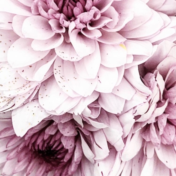 Molyna Chhun - Poshmark Profile Picture of Molyna Chhun (@molyna) on Poshmark