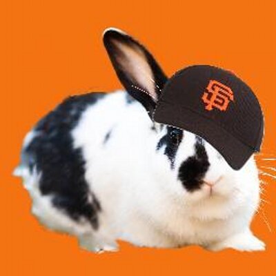 Profile Picture of Kristin Wong (@pvsd_kwong) on Twitter