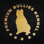 Profile Picture of Joshua Richards (@premiumbulliesuk) on Instagram