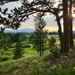 Profile Picture of Wilderness + Mindfulness + Joy (@wildernessmindfulnessjoy) on Instagram