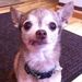 Profile Picture of Corrine Henry Conway (@chenryconway) on Pinterest