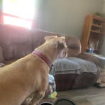 Profile Picture of Gary Almquist (@gary.almquist.1) on Facebook