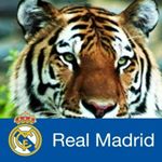 Profile Picture of Jose Platero (@jose.platero.754) on Instagram