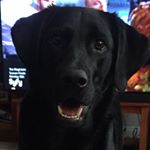 Profile Picture of Adam Pender (@apendex06) on Instagram