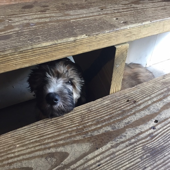 Profile Picture of Bre Willenbrink (@b_willenbrink) on Poshmark