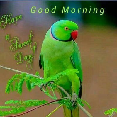 Profile Picture of Prabhu Mohan (@prabhumohan88) on Twitter