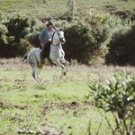 Profile Picture of Patrick van Orshoven (@patrickvanorshoven) on Instagram