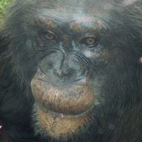 Profile Picture of Pat Joyce (@pat-joyce-20) on Quora