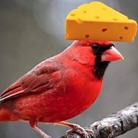 Profile Picture of Cory Olson-bressette (@cory-olson-bressette) on Quora