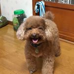 Profile Picture of Joyce Shih (@joyce7228569) on Instagram