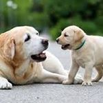 Profile Picture of tracynicholas021 (@tracynicholas021) on Instagram