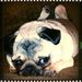 Profile Picture of Robin Robbins (@robin8497) on Pinterest