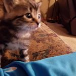 Profile Picture of Carson Crow (@crow_carson) on Instagram