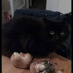 Profile Picture of Lisa Matthews (@lisa.matthews921) on Instagram