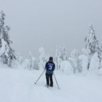 Profile Picture of Cory Berekoff (@cberekoff3) on Instagram