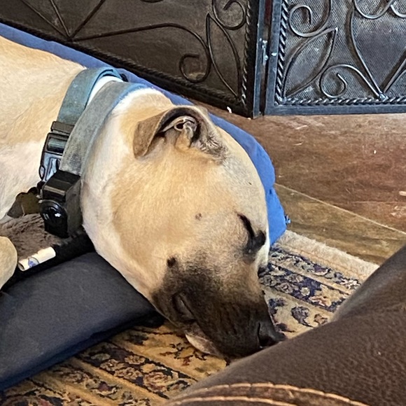 Profile Picture of Avery Bezner (@averybezner) on Poshmark