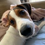 Profile Picture of Kelli Nix Parker (@kellip27) on Instagram