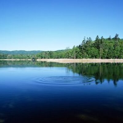 Teo Jin Peng - Twitter Profile Picture of Teo Jin Peng (@TeoJinPeng) on Twitter