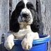 Profile Picture of Scott Spinner (@scott.spinner) on Facebook