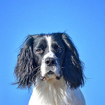 Profile Picture of James Bennett (@bennorach2010(James)) on Flickr