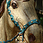 Profile Picture of Cat's Images (@cat's images) on Flickr