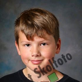 Profile Picture of kevinkatts (@kevinkatts) on Tiktok
