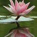 Profile Picture of Mary Devi Singh (@marydevis) on Pinterest