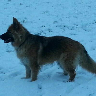 Profile Picture of Bob Ashmore (@bobby7887) on Twitter