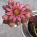 Profile Picture of Grace Coleman Fields (@Grace-Coleman-Fields) on Facebook